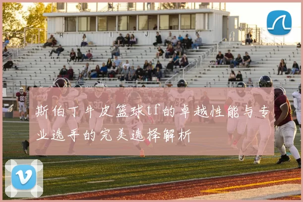 斯伯丁牛皮篮球tf的卓越性能与专业选手的完美选择解析