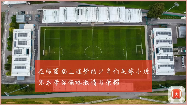 在绿茵场上追梦的少年们足球小说完本带你领略激情与荣耀