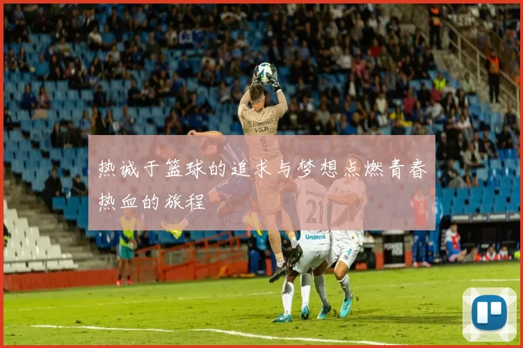 热诚于篮球的追求与梦想点燃青春热血的旅程