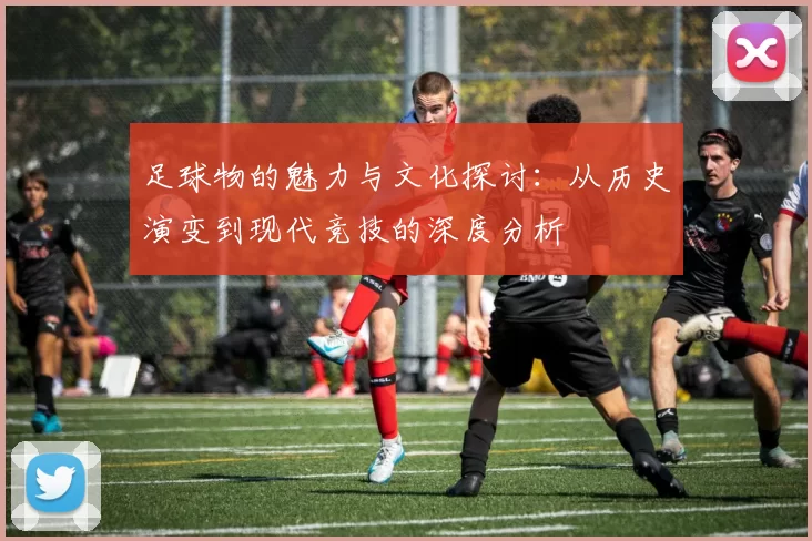 足球物的魅力与文化探讨：从历史演变到现代竞技的深度分析